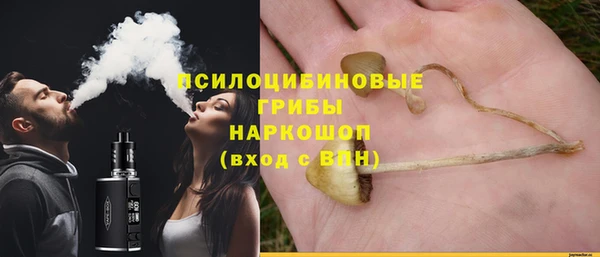 прущие крисы Касимов