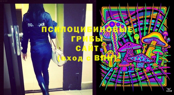 apvp Карталы