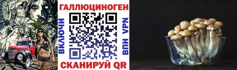 Псилоцибиновые грибы прущие грибы  Купить  Коммунар 
